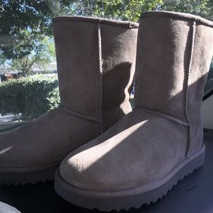 Grey/Brown UGG Boots